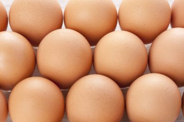 Kutudaki organik tavuk yumurtalarının yakın plan görüntüsü..