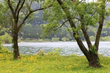 Güzel göl manzarası