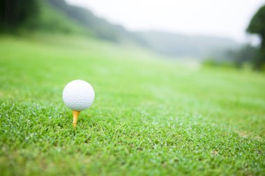 Yeşil çimen arka planlı golf topu.