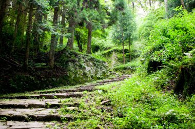 Park manzarası çok güzel.