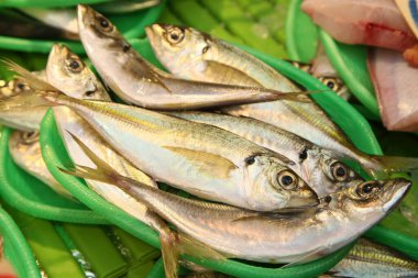 Yeşil tepsilerde birlikte duran taze balıklar.