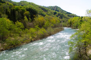 Dağ nehri ile güzel doğa manzarası