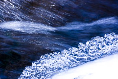 Kış ormanında su akıntısı