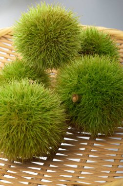 Taze yeşil Japon kestaneleri sepette