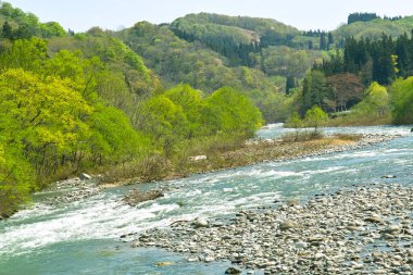 Dağ nehri ile güzel doğa manzarası