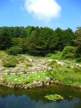 Sakin gölü, yeşil ağaçları ve ahşap parmaklıkları olan güzel bir bahçe manzarası.
