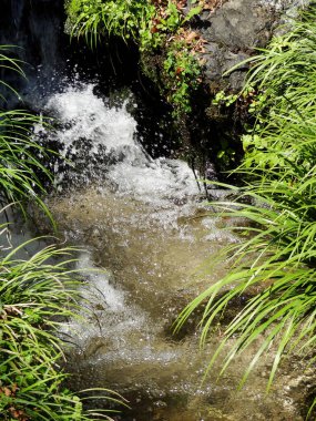 Su akıntısı ve dağlarda yeşil bitkiler.
