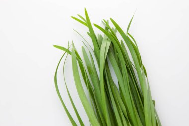 Beyaz arka planda taze yeşil çimen