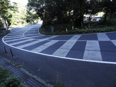 Beyaz çizgileri ve yeşil ağaçları olan yol