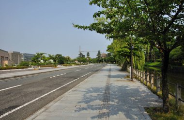 Şehir caddesi yol boyunca ağaçlarla dolu..
