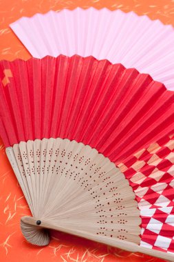 Japon taraftarların en iyi manzarası