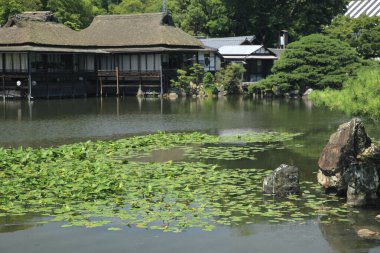 Serene göleti yemyeşil ile çevrili