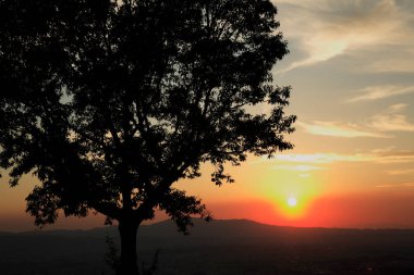 Güzel günbatımı gökyüzü dağların ve siluetli ağaçların üzerinde