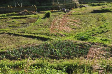 Doğal manzaranın güzel manzarası