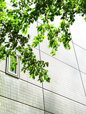 Şehirdeki binanın düşük açılı görüntüsü