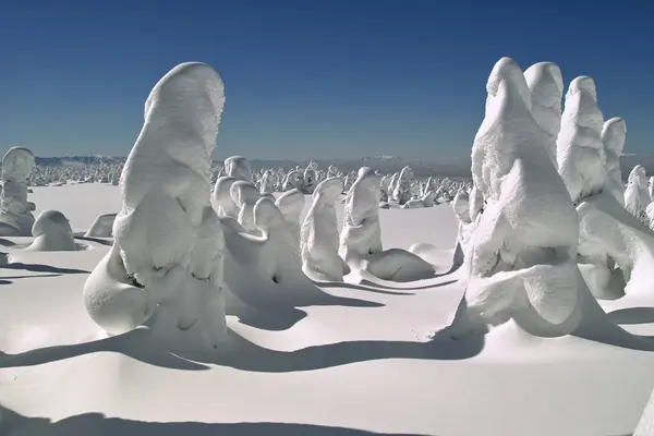 Schöne Aussicht Auf Verschneite Winterlandschaft Schneebedeckte Bäume Auf Dem Gipfel — Stockfoto