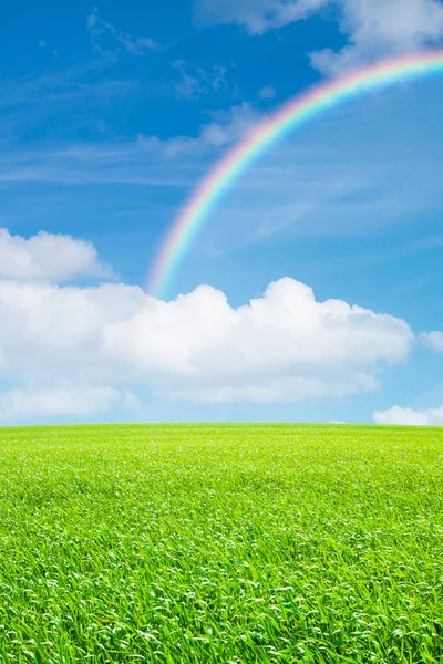 Gökkuşağı Mavi Gökyüzü Ile Yeşil Çayır — Stok fotoğraf