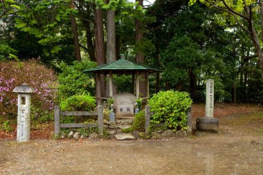 Antik Japon tapınağının manzaralı görüntüsü