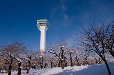 Gorykaku Kulesi manzarası, Hakodate, Japonya