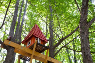 Ormandaki ağaçta tahtadan kuş besleyicisi