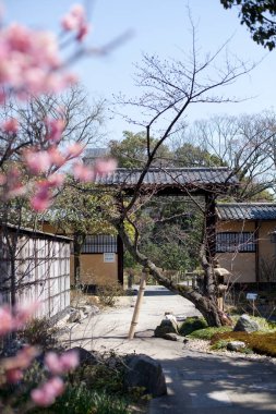 Güzel antik Japon tapınağının manzaralı görüntüsü.