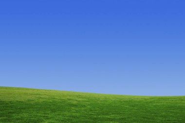 mavi gökyüzü yeşil alan arkaplan görüntüsü