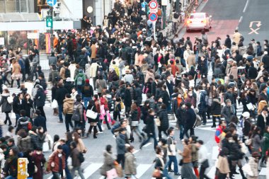 Ördek şehir manzarası, şehir arkaplanı, Japonya 