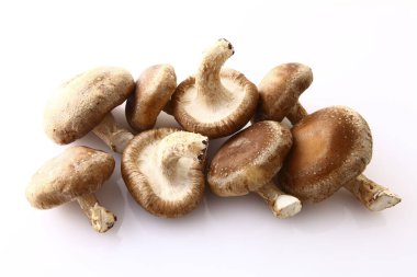 Beyaz arkaplanda çiğ shiitake mantarları