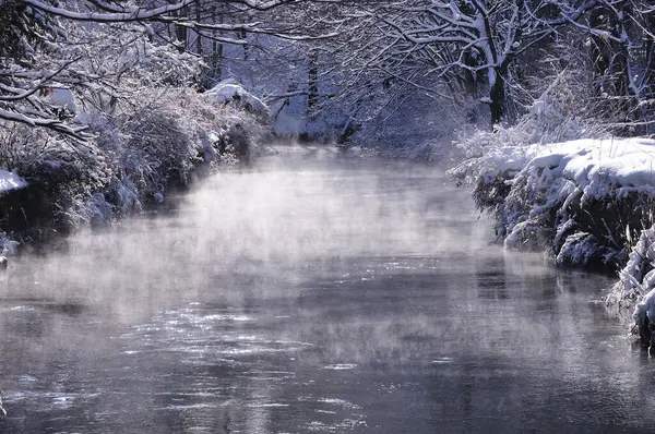 Zamrzlá Řeka Zimním Lese — Stock fotografie