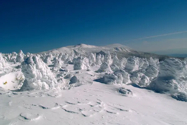 Зимой Покрытая Снегом Гора — стоковое фото