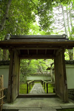 beautiful view of the japanese park