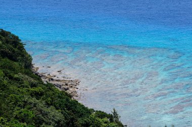 Temiz suyla doğanın güzel manzarası