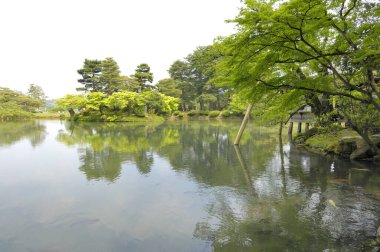 Parktaki gölet, Japon bahçesi.