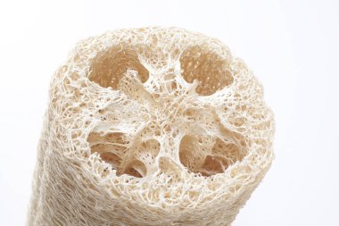 Banyo süngeri arka planda, kapatın.