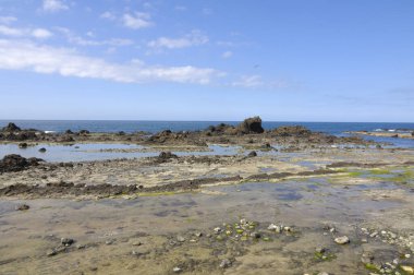 Atlantik Okyanusu 'nun kayalık kıyıları