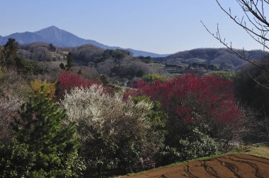 Dağlardaki manzara.