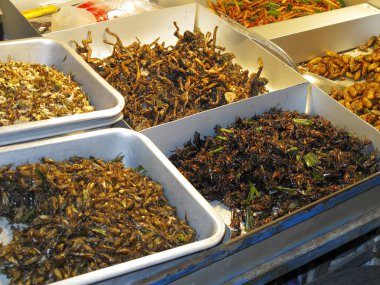Pazarda, Bangkok, Tayland 'da çeşitli kurutulmuş böcekler