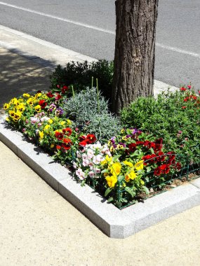 Güneşli bir günde yol kenarında güzel renkli çiçekler ve ağaç
