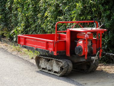 Yeşil yeşilliklerin yanına park edilmiş küçük kırmızı çizgili araç.