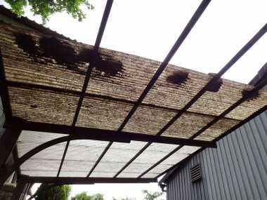 Kuş yuvaları gün ışığında ahşap pergola yapının üzerinde dinleniyor.