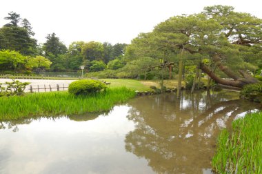 Parktaki gölet, Japon bahçesi.