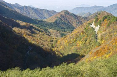 Ormanla dağların sonbahar manzarası