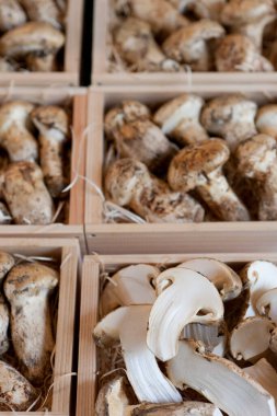 Taze deniz ürünleri, açık hava pazarı...