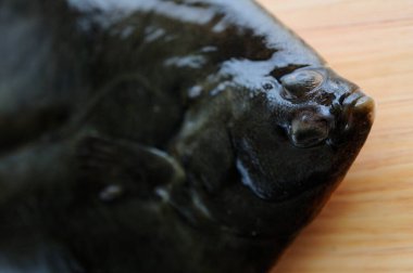 Tahta arka planda taze balık