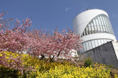 Bahar bahçe çiçek açan ağaçlar 