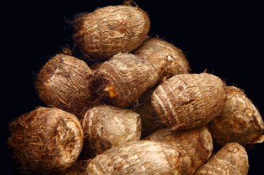 Ham taro köklerini kapat