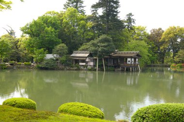 Parktaki gölet, Japon bahçesi.