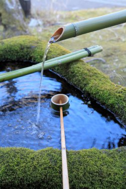 Bambu çeşmesi, kapat. 