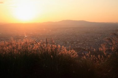Akşamları uzun otların ve vadideki köyün güzel manzarası         