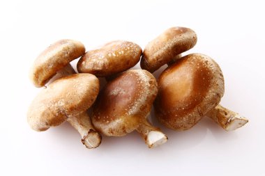 Beyaz arkaplanda çiğ shiitake mantarları